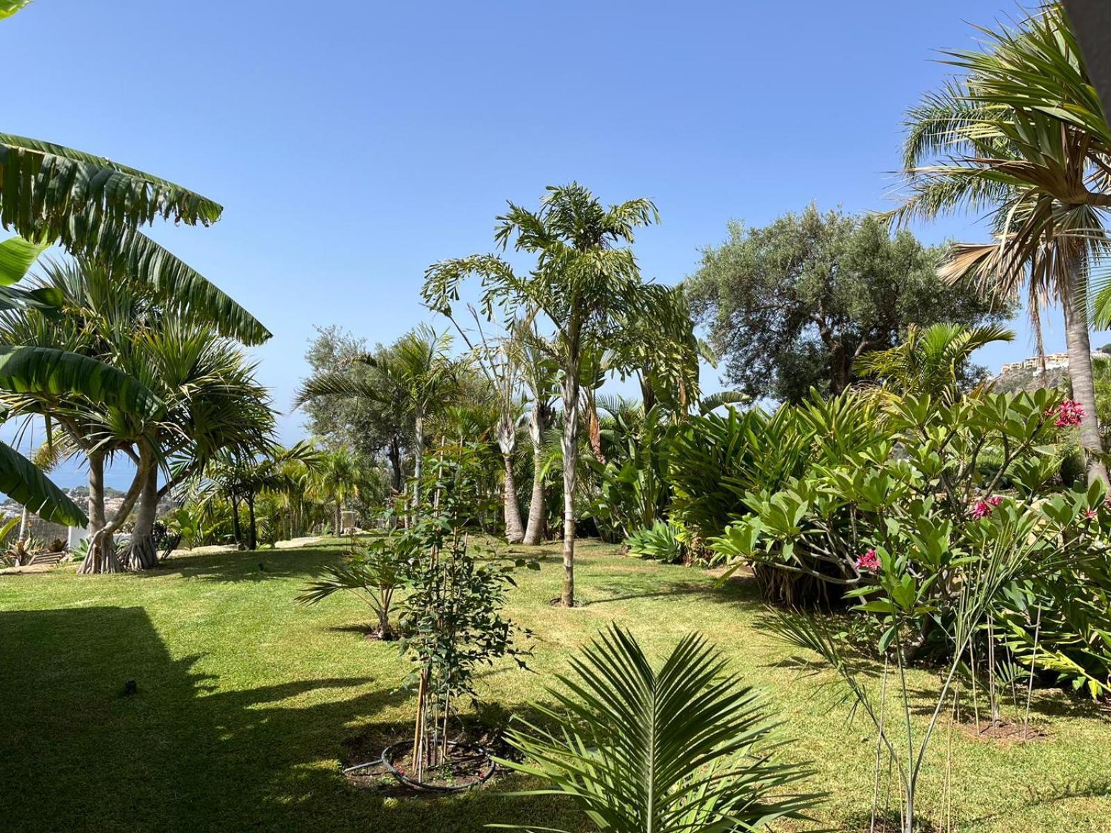 Bed & Breakfast In Villa Eden Palm Benalmadena Luaran gambar